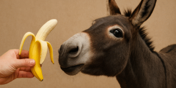 Can Donkeys Eat Bananas
