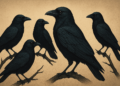 5 Crows Meaning Spiritual