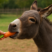 Can Donkeys Eat Carrots