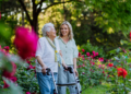 Senior Care Support Services