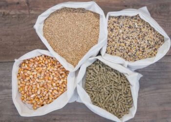 Natural animal feed ingredients