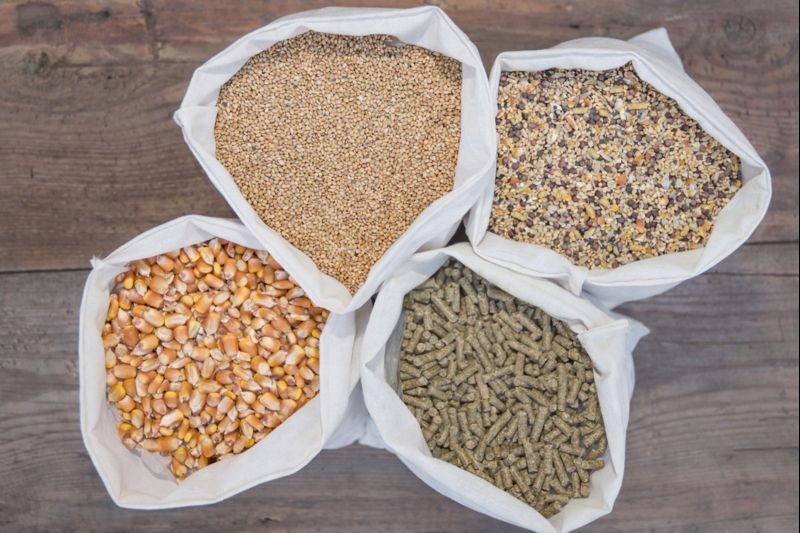 Natural animal feed ingredients