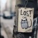 Finding lost pets