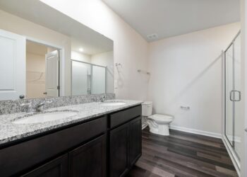 Bathroom Renovation Choices