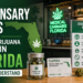 Florida dispensary rules