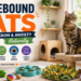 How to Prevent Boredom and Anxiety in Housebound Cats