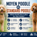 moyen poodle vs standard poodle