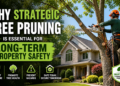 strategic tree pruning for property safety