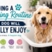 Building a Grooming Routine That a Dog Will Actually Enjoy