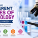 Different Types of Pathology