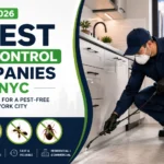 Professional pest control technician treating a modern New York City apartment kitchen, representing the 7 best pest control companies in NYC for 2026 with expert residential and commercial extermination services.