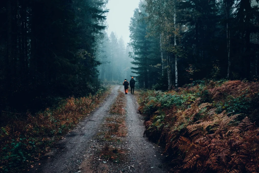 Two people hiking along a forest trail during an outdoor camping and hunting adventure